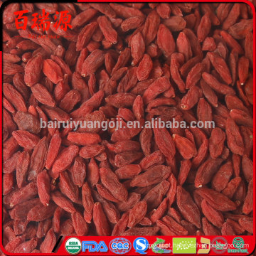 Preço de goji razoável venda quente goji nova colheita goji berry price